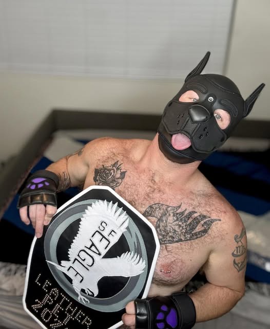 Pup Denali, Leather Pet 2026